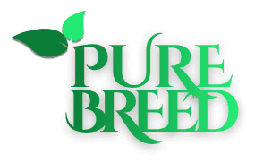 Purebreed